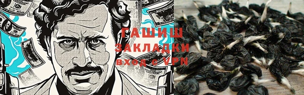 мдпв Кинешма
