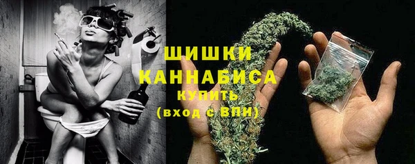 мдпв Кинешма